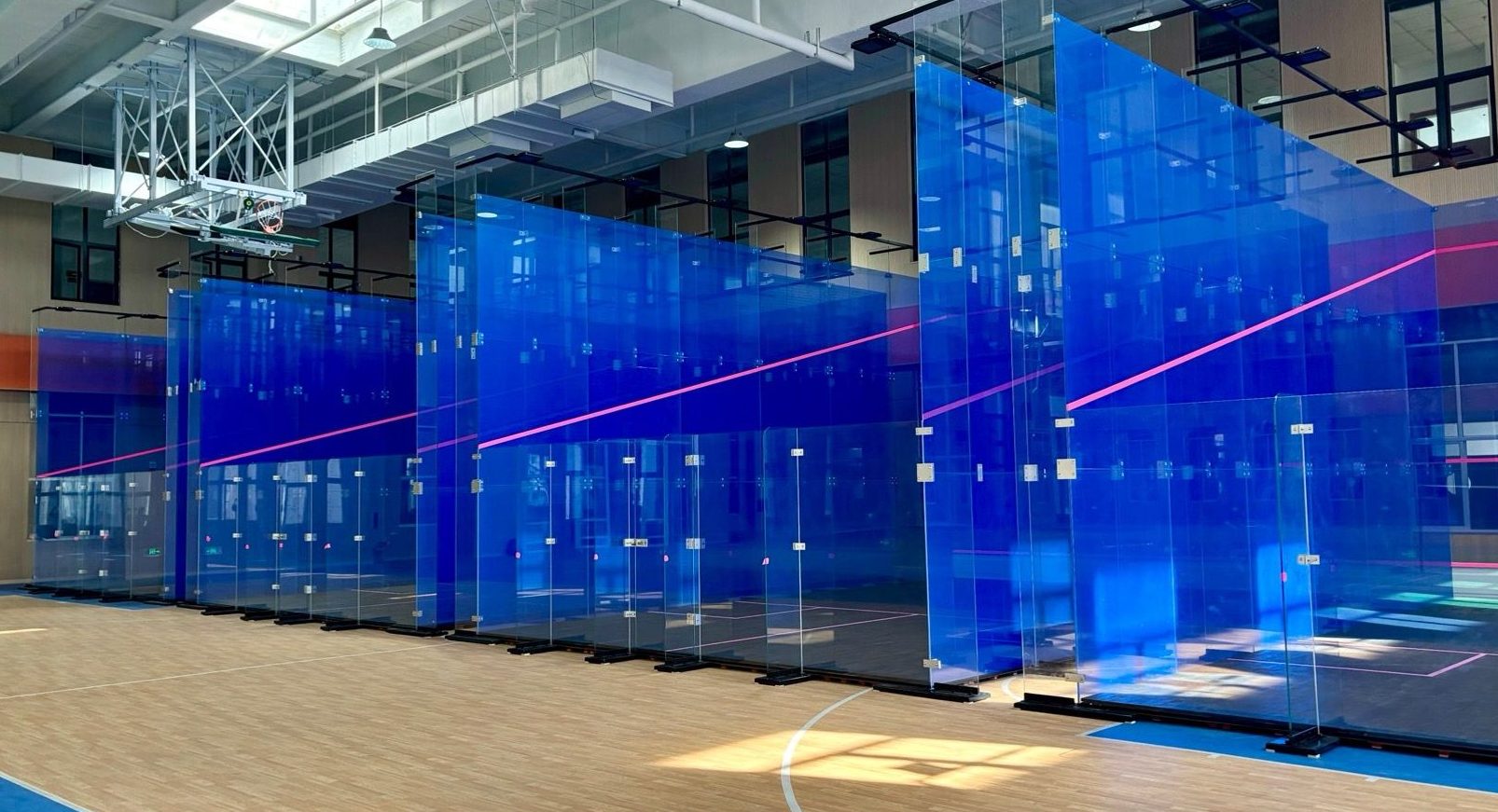 A row of LumiCourt blue glass squash courts in a sports hall